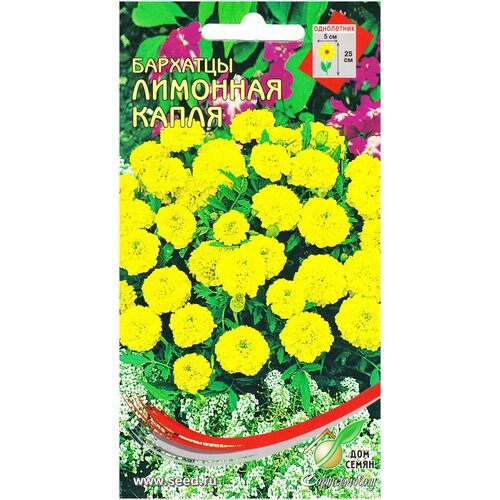 ���������� �������� (������� �����������) �������� �����, 90 �����