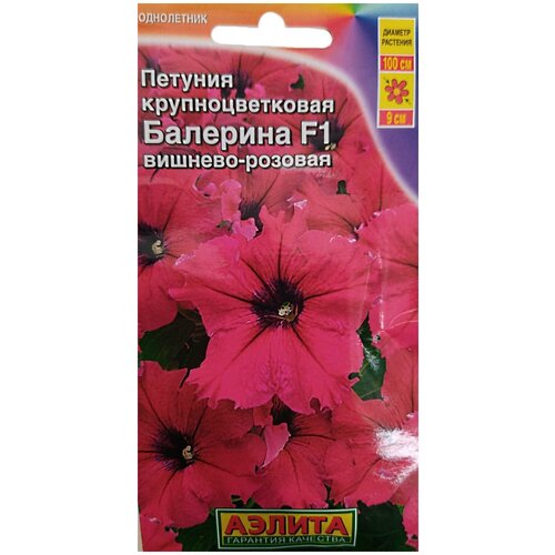 ���������� ������. ������� ��������������� 