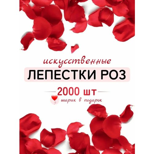    2000    , -, 