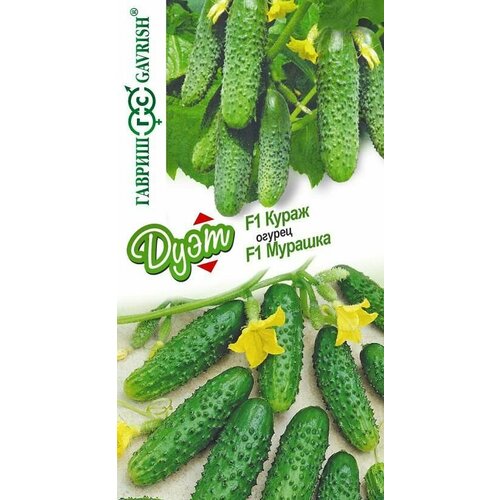 ���������� ������ ����� F1+������� F1 20 ��.