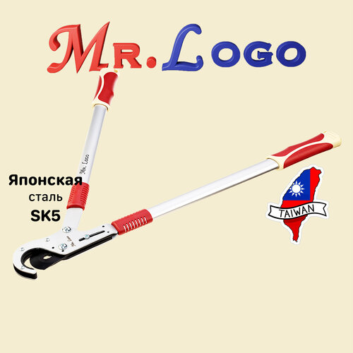     Mr.Logo . 3650       , -, 