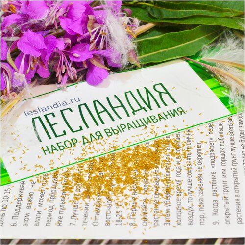 ���������� ����-��� ������, ������, 500 ��