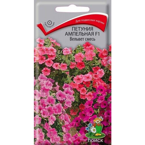 ���������� ������ ����� ������� ��������� ������� ����� F1 5 ��.