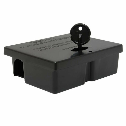 ���������� ����������� ��������� ��� ����