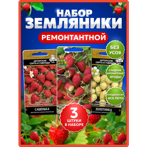 ���������� ����� / ������ ����� ������ ���������, ����� ������� ����, ���������, �����, ��������, ����, ���