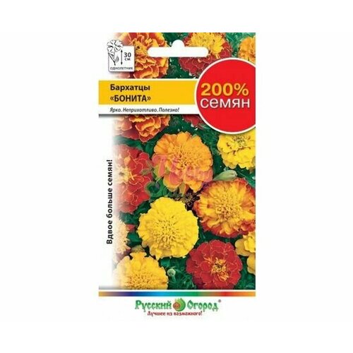 ���������� ������ �������� ����������� ������ 0,6� ����� 25�� (������� ������) 200%