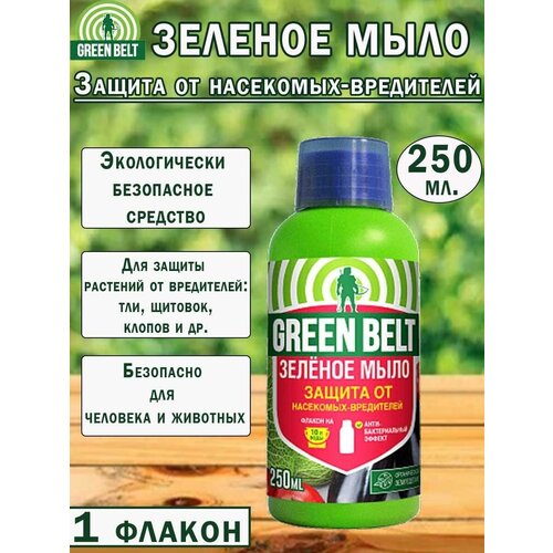 ���������� ������� ���� Green Belt, ��� ��������, ������ �� ���������, 250��, 1 ������