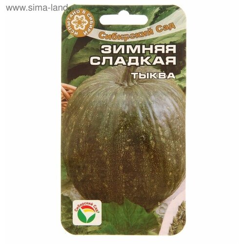 ���������� ����� ������ �������