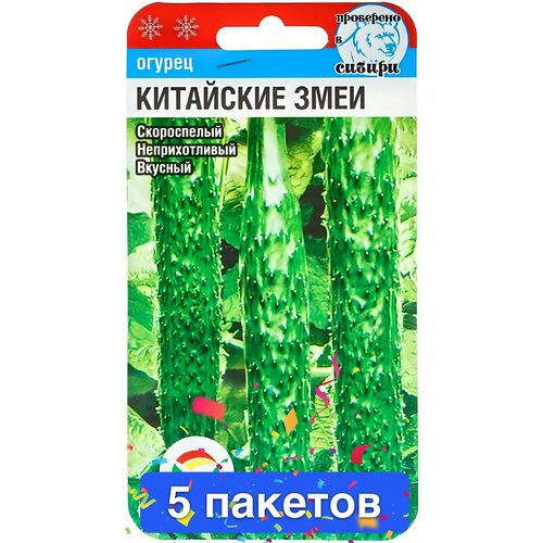 ���������� ������ ������ ��������� ��� 