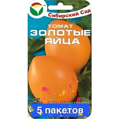 ���������� ������ ������ ��������� ��� 