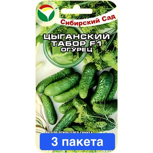 ���������� ������ ������ ��������� ��� 