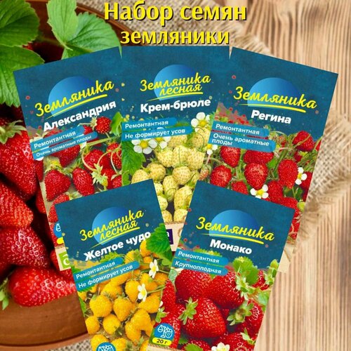 ���������� ����� ����� ���� ��������� 5 ��������