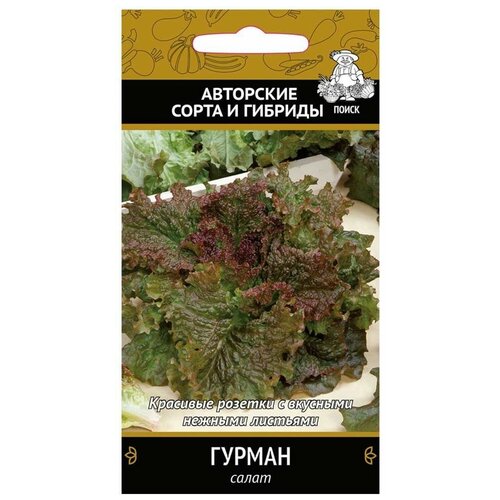 ���������� ������ ����� ����� ������, 1 �