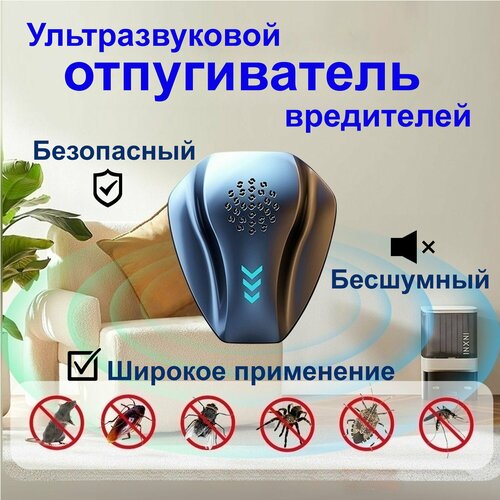 ���������� ������������ �������������� ����� � ���������