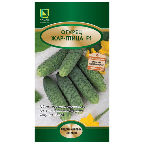 ���������� ������ ������ ���-����� F1 12 ��.