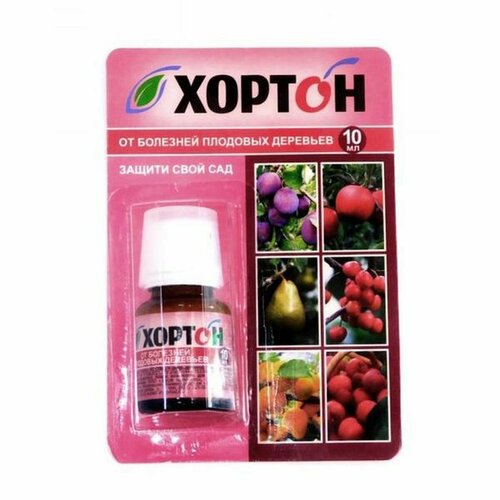 ���������� ������, �� �������� �������� �������� 10�� (���� ���������)