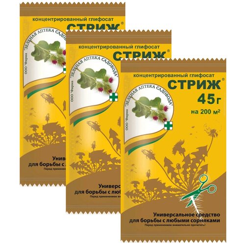 ���������� �����. �������� �� �������� ������� ������ �������� 