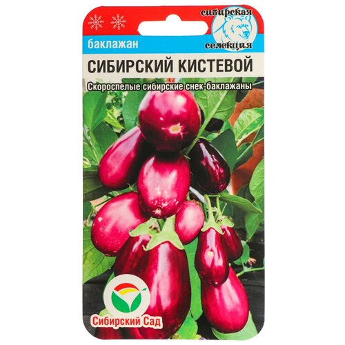 ���������� ������ �������� 