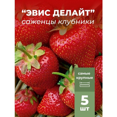 ���������� �������� ����� ������������� ���� ������, �������/��������� �������� 5 ��