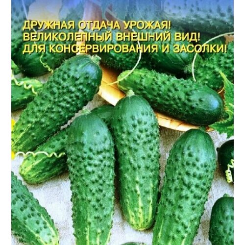 ���������� ������������� ������ ������ �������� F1