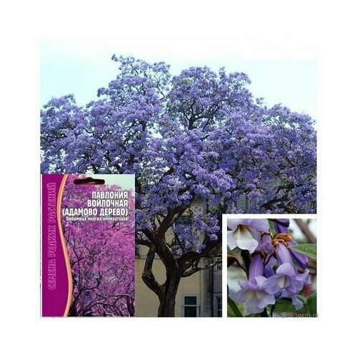 ���������� ������ ������ �������������: �������� ��������� (������� ������)