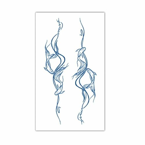 ���������� ��������� ����, ���������� ���������� 