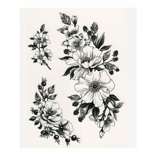 ���������� ��������� ���� ������, ���������� ����������, �����, ����, ���������, ����, �����, ����������