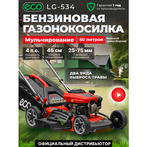 ���������� ������������� ���������� ECO LG-534 ������������ � ��������������, ������ ��������� 46 ��, ������������ 50 �