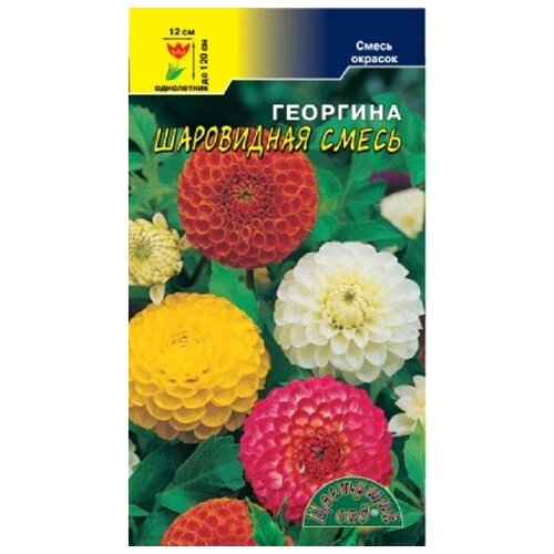 ���������� ������ �������� ��� 