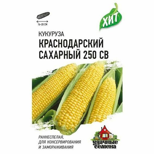 ���������� ������ �������� ������������� �������� 250 �� F1 (������) 5� ��� �3