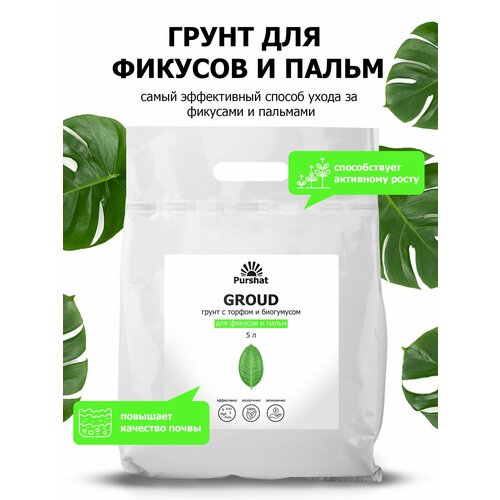 ���������� ����� (�����) ��� ������� � ����� ������. � ������ � ���������� ��� ��������� ����� � �������������� �������� (Purshat) 5 �