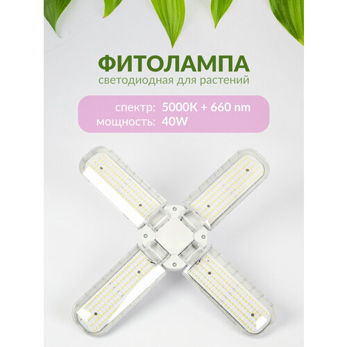 ���������� ��������� ������������ -�������� 4,40W; 5000K+660Nm, ��� ��������, �������, �����������