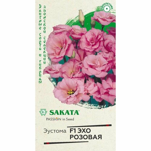 ���������� ������ ������� ��� F1, �������, ����������, (������) 5��