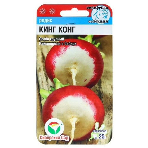 ���������� ������ ����� ����-����, 2 �