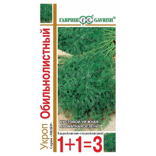 ���������� ������ ������ 1+1=3 ����� ��������������, 6 �