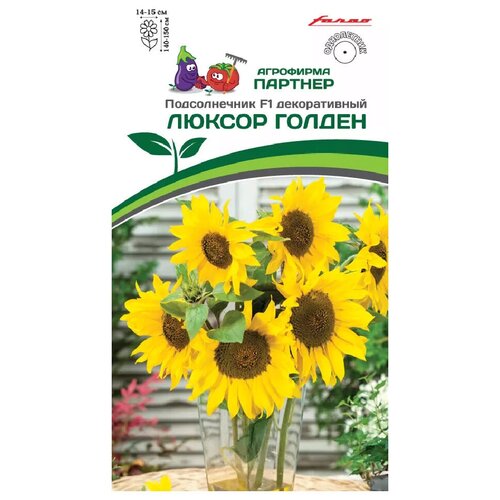 ���������� ������ ������������� ������������� 