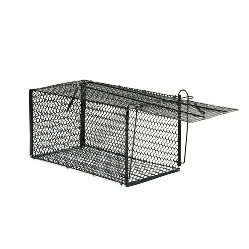 ���������� ���������� 36 � 17 � 17 ��, ������, ������ 