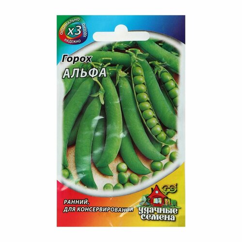 ���������� ������ ����� 