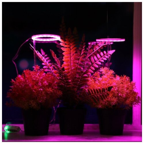 ���������� �������������� ��� ��������, ������������, 4 ��, 170 ��, IP20, 5 �, USB, � ������, 2 �����, ������������������