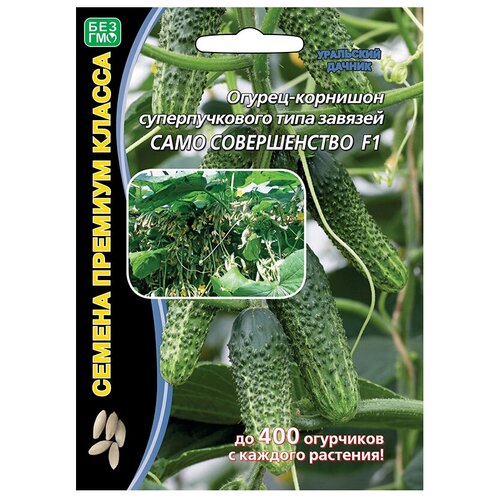 ���������� ������ ��������� ������ ������� ������ ���� ������������ F1 5 ��.