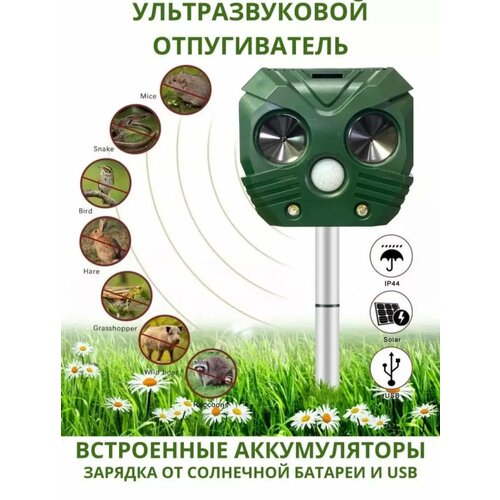 ���������� �������������� ������������ ������ � ��������