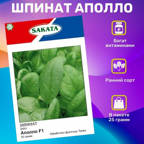 ���������� ������ ������ ������ 25 �����. ���������� ��������