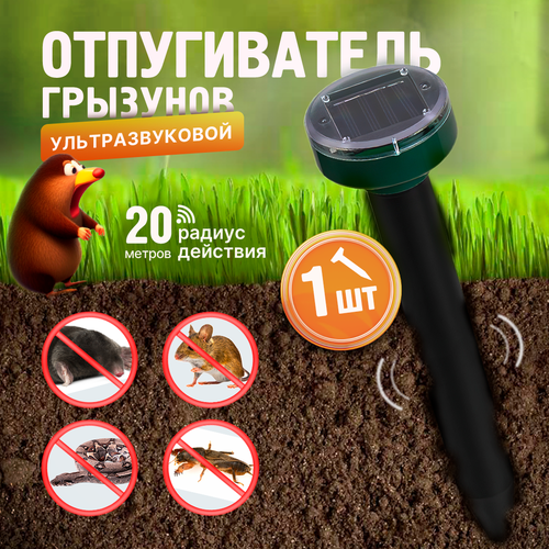 ���������� ������������ ������, �����, ����, ����, �������� ��������������, 1��.