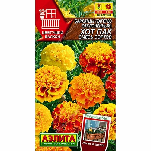 ���������� ������ �������� ��� ���, ����� ������, ����������, (������) 5�� �������� ������