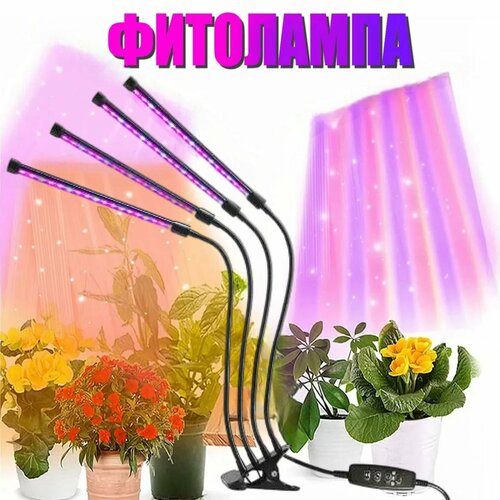 ���������� ��������� ��� �������� ������ ������ 4 �����, �������������� �� �������� � ��������