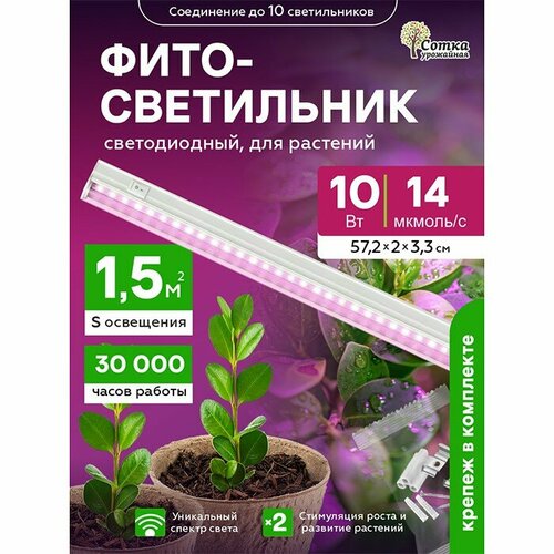 ���������� ��������� ��� �������� ��������������� 10 ��, ������ ��� ����������� � ������������, ������� ����