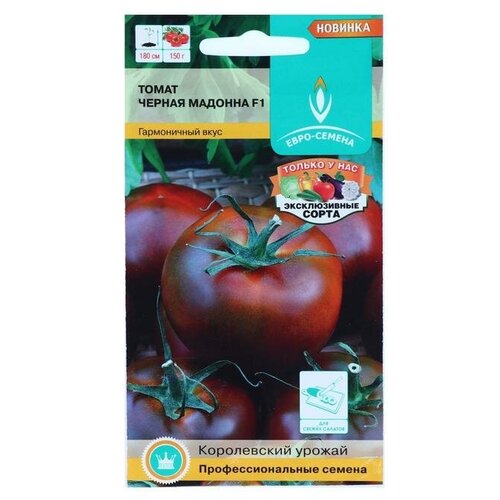 ���������� ������ ����� 