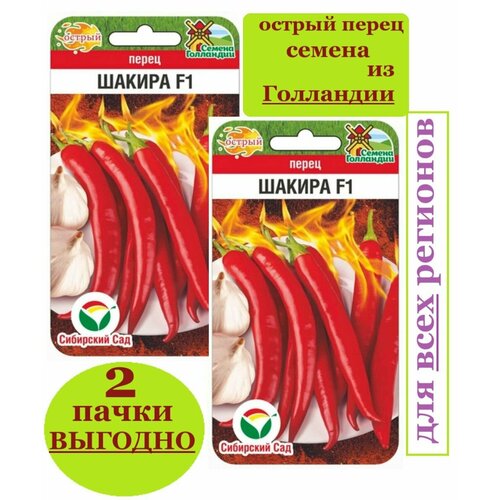 ���������� ������ ����� ������ ������ ��������� ��� (2 ��������*5�� �����)