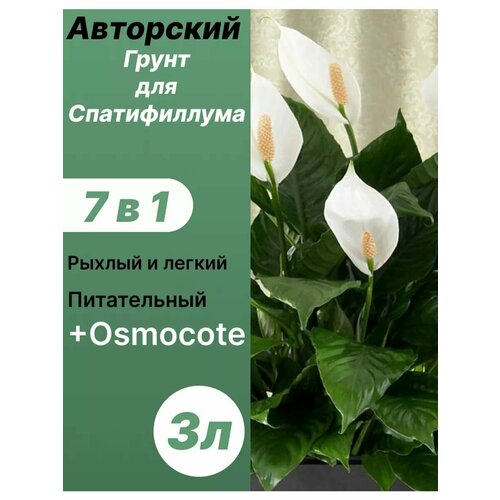 ���������� ����� ��� ������������ 3� / �������