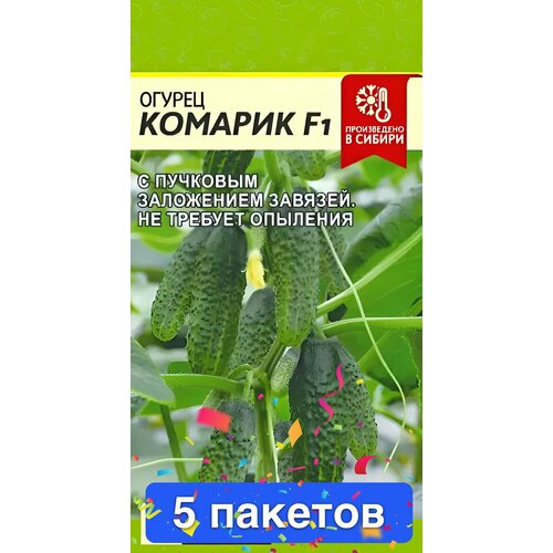 ���������� ������ ������ ������ ����� 